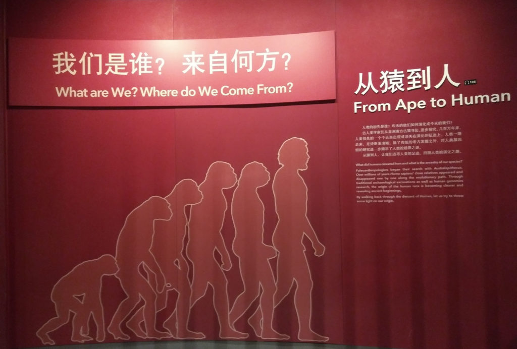 Shanghai Natural History Museum